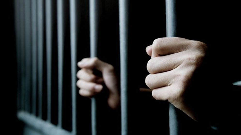 যাত্রাবাড়ীতে কুকুর হত্যার দায়ে তিনজনের আড়াই বছরের কারাদণ্ড