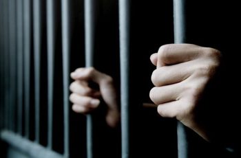 যাত্রাবাড়ীতে কুকুর হত্যার দায়ে তিনজনের আড়াই বছরের কারাদণ্ড