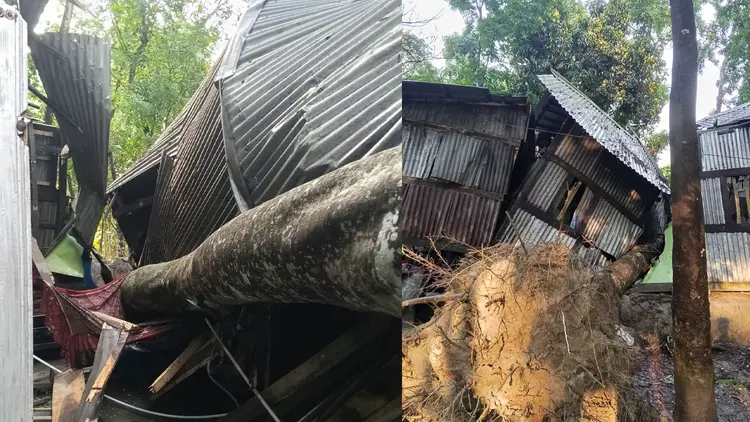 বরিশালে কালবৈশাখি ঝড়ে গৃহবধূর মৃত্যু, সন্তান আহত