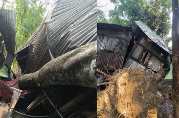 বরিশালে কালবৈশাখি ঝড়ে গৃহবধূর মৃত্যু, সন্তান আহত
