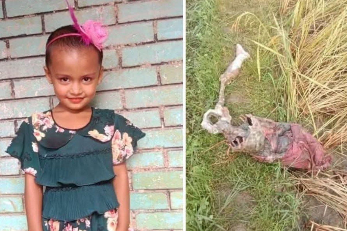 নেত্রকোনায় ৬ বছরের শিশুর খণ্ডিত মরদেহ উদ্ধার