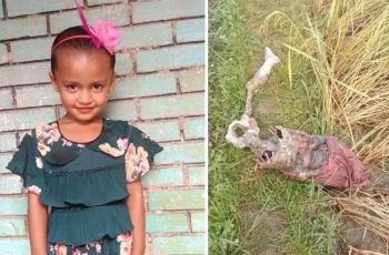 নেত্রকোনায় ৬ বছরের শিশুর খণ্ডিত মরদেহ উদ্ধার
