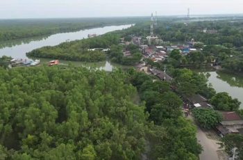 সুন্দরবনে তিন মাসের প্রবেশ নিষেধাজ্ঞা জারি