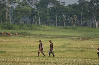 বেনাপোল সীমান্তে বিএসএফের পুশইন: ১০ জন আটক