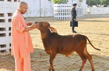 গরুকে 'মা' হিসেবে অর্ঘ্য নিবেদনের পাত্র বলে মন্তব্য যোগী আদিত্যনাথের