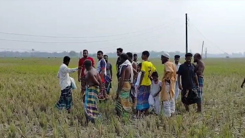টাঙ্গাইলের বিদ্যুৎস্পৃষ্ট হয়ে ৫ গরুর মৃত্যু, স্থানীয়দের ক্ষোভ