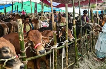 ঈদুল আজহায় ৯৩ লাখ ৬৭ হাজার পশুর কোরবানি সম্পন্ন