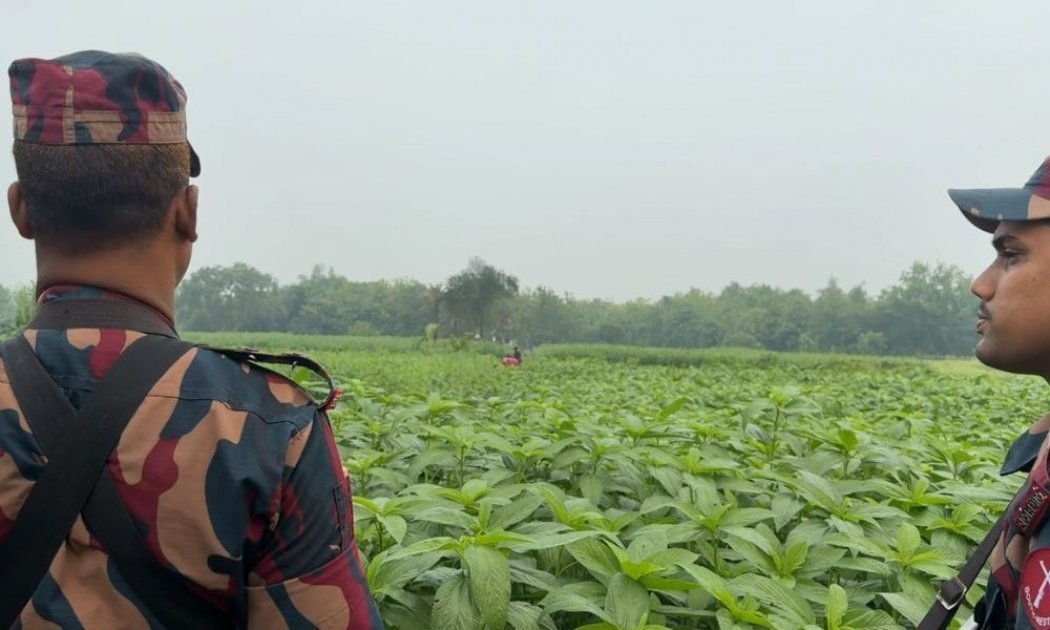 মেহেরপুর সীমান্তে বিএসএফের পুশ-ইন চেষ্টা ব্যর্থ, বিজিবির প্রতিরোধ