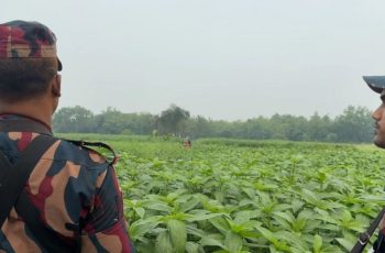 মেহেরপুর সীমান্তে বিএসএফের পুশ-ইন চেষ্টা ব্যর্থ, বিজিবির প্রতিরোধ