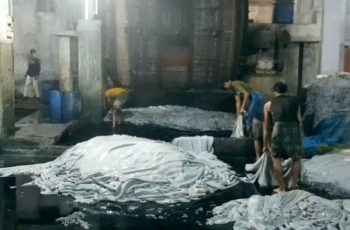 সাভারে চামড়া শিল্প সংকটে: প্রস্তুতিহীন স্থানান্তরের ফলাফল