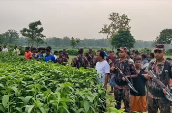 বিজিবির কঠোর অবস্থানে বিএসএফের পুশইন ব্যর্থ