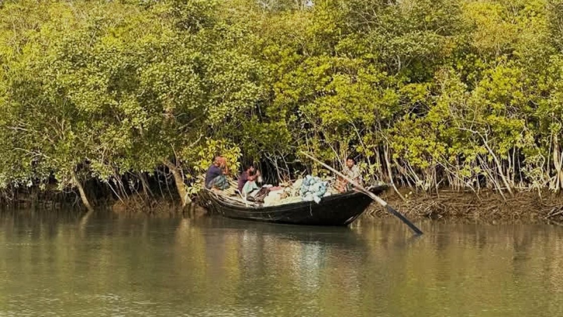 বন বিভাগের বেতারচালকসহ তিনজন অপহরণের পর মুক্তি পেলেন