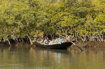 বন বিভাগের বেতারচালকসহ তিনজন অপহরণের পর মুক্তি পেলেন