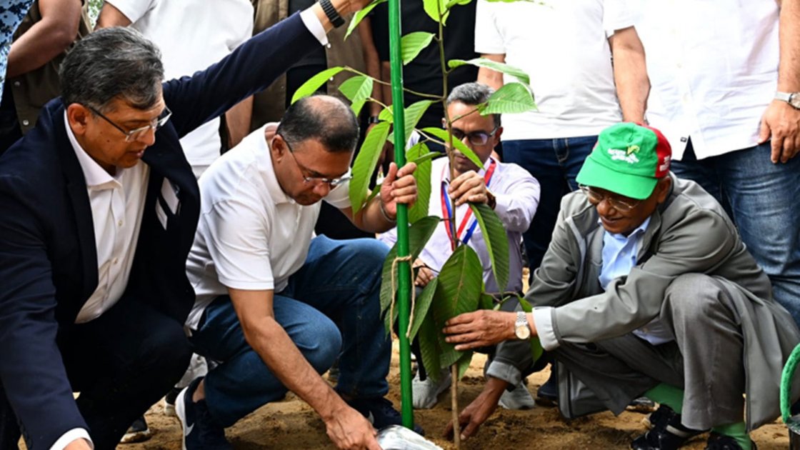প্রধানমন্ত্রীর বৃক্ষরোপণ কর্মসূচির উদ্বোধন, ২৫ কোটি গাছ রোপণ হবে