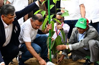 প্রধানমন্ত্রীর বৃক্ষরোপণ কর্মসূচির উদ্বোধন, ২৫ কোটি গাছ রোপণ হবে