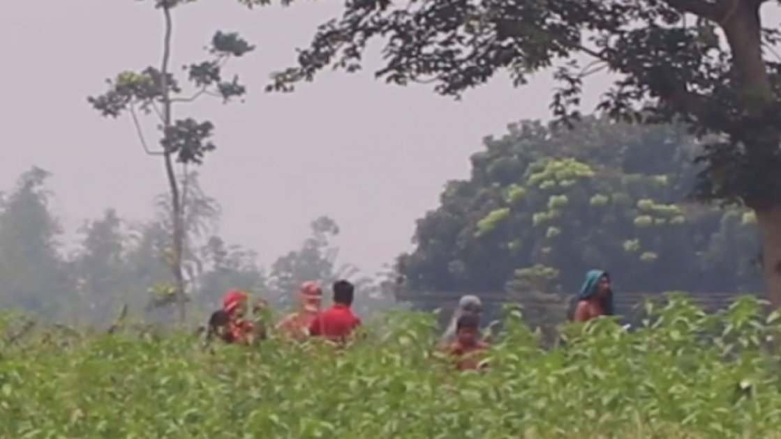 কুষ্টিয়ায় বিএসএফের পুশ–ইনের চেষ্টা ব্যর্থ, ১২ জন শূন্যরেখায়