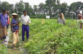 এক হাত হারিয়েও ঝিনাইদহের কৃষকদের আস্থার প্রতীক মফিজ উদ্দিন