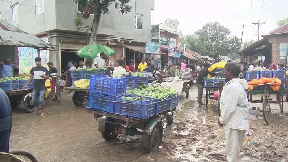 আগামীকাল বাজারে আসছে হাঁড়িভাঙ্গা আম, উদ্বেগ চাষি ও ব্যবসায়ীদের