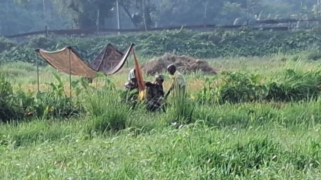 জয়পুরহাটে বিএসএফের পুশ-ইন চেষ্টার বিরুদ্ধে বিজিবির প্রতিরোধ