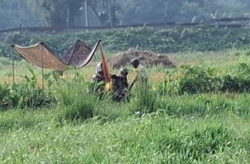 জয়পুরহাটে বিএসএফের পুশ-ইন চেষ্টার বিরুদ্ধে বিজিবির প্রতিরোধ