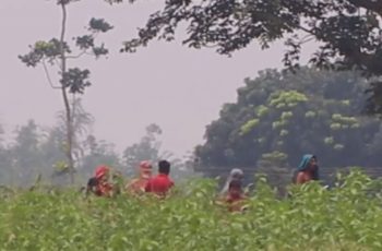 ভারত-বাংলাদেশ সীমান্তে পুশ-ইন নিয়ে বাড়ছে উত্তেজনা