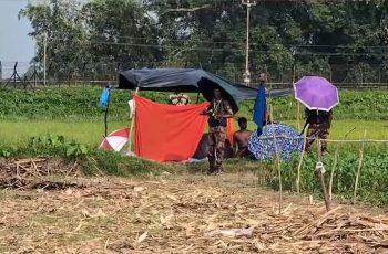 কুড়িগ্রাম সীমান্তে বিএসএফের পুশ ইন চেষ্টা ব্যর্থ