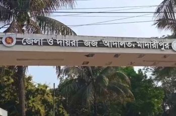 মাদারীপুরে কিশোরীকে অপহরণের পর ধর্ষণের ঘটনায় যুবকের ১৪ বছরের কারাদণ্ড