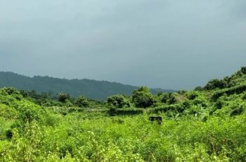 ঘুমধুম সীমান্তে মাইন বিস্ফোরণে যুবক নিহত
