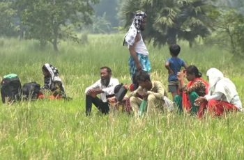 বিজিবির কঠোর অবস্থানে বিএসএফের পুশইন চেষ্টায় ব্যর্থতা
