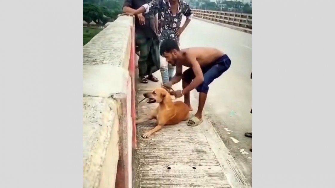 নরসিংদীতে কুকুরকে নদীতে নিক্ষেপ: যুবক আটক