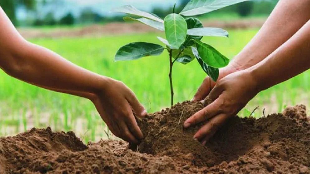 রাজবাড়ীতে স্কুল ফাঁকি দেওয়ায় ৪ শিক্ষার্থীকে ৮০০ গাছ লাগানোর নির্দেশ