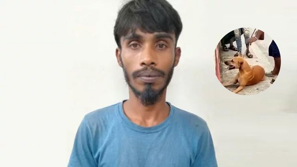 নরসিংদীতে কুকুর হত্যার অভিযোগে তরুণ গ্রেফতার