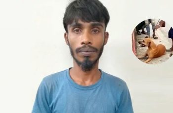 নরসিংদীতে কুকুর হত্যার অভিযোগে তরুণ গ্রেফতার