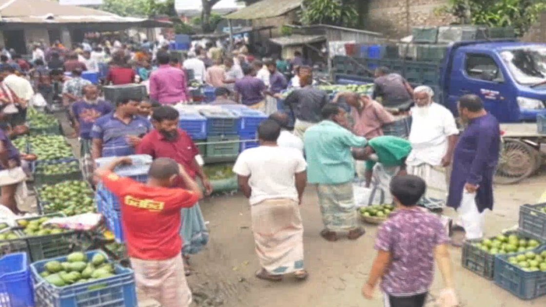 রংপুরের হাঁড়িভাঙা আমের মৌসুমে জমজমাট হাট-বাজার