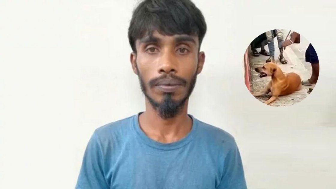 নরসিংদীতে কুকুর হত্যার অভিযোগে যুবক গ্রেপ্তার