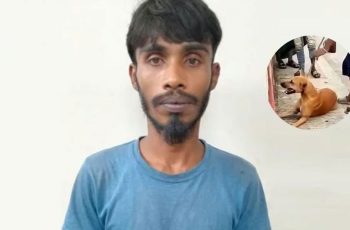 নরসিংদীতে কুকুর হত্যার অভিযোগে যুবক গ্রেপ্তার