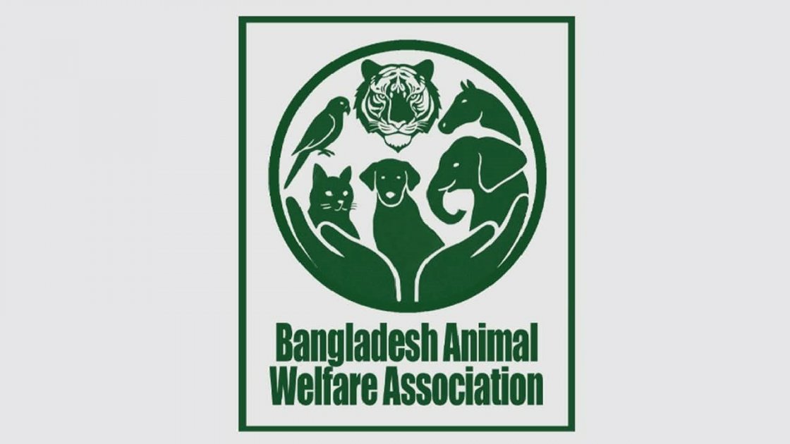 বগুড়ায় কুকুরকে আহত করার অভিযোগে গ্রেপ্তার ১