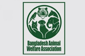 বগুড়ায় কুকুরকে আহত করার অভিযোগে গ্রেপ্তার ১