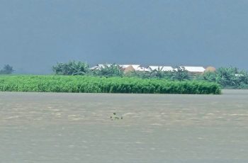 যমুনা নদীতে পানি বৃদ্ধিতে ইসলামপুরের নিম্নাঞ্চল প্লাবিত