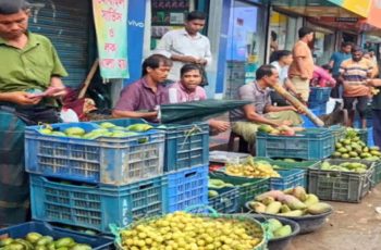 খাগড়াছড়িতে মৌসুমি ফলের বাম্পার ফলন, কৃষকের মুখে নেই হাসি