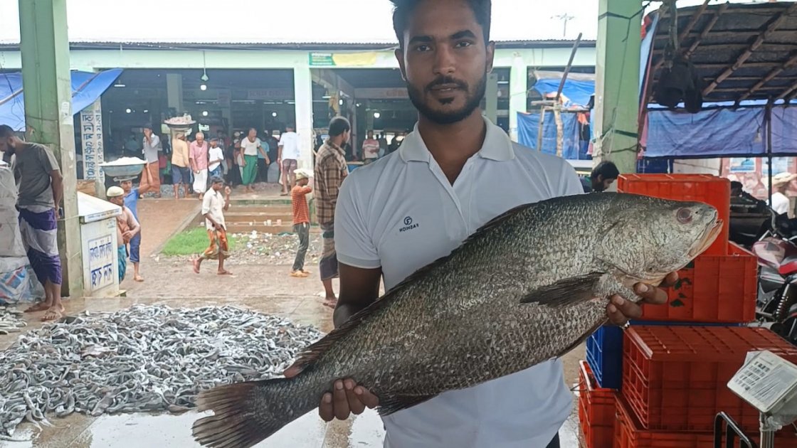 কুয়াকাটায় ৫০ হাজার টাকায় বিক্রি হলো কালো পোয়া মাছ