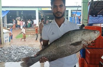 কুয়াকাটায় ৫০ হাজার টাকায় বিক্রি হলো কালো পোয়া মাছ