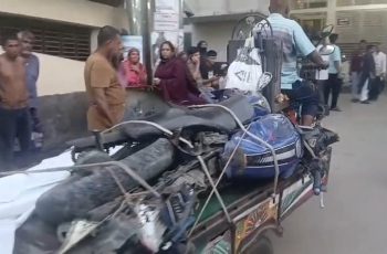 ফরিদপুরে বাসের চাপায় দুই যুবক নিহত