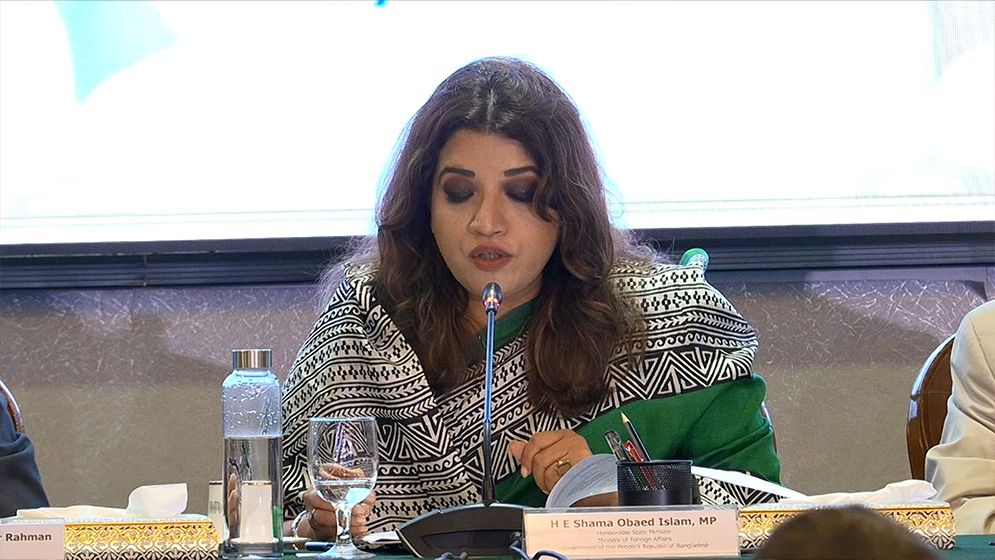 সার্কের সংকট: রাজনৈতিক ও প্রাতিষ্ঠানিক সমস্যা তুলে ধরলেন পররাষ্ট্র প্রতিমন্ত্রী