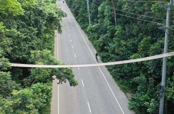 টাঙ্গাইলের মধুপুরে প্রাণীদের নিরাপদ চলাচলে ৫টি রোপওয়ে নির্মাণ
