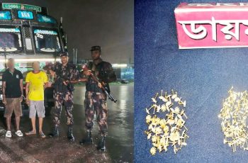 সাতক্ষীরায় ২১৬ পিস হীরার নাকফুলসহ দুই ভারতীয় নাগরিক আটক