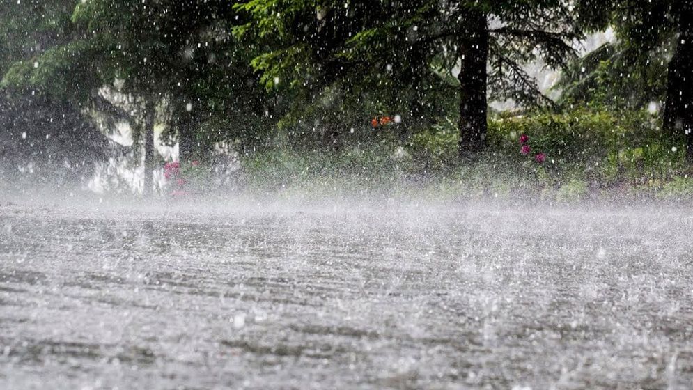 ৫ বিভাগে ভারী বৃষ্টির পূর্বাভাস, সমুদ্র বন্দরগুলোতে সতর্কতা কমলো