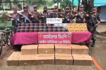 বিজয়নগর সীমান্তে ৩ কোটি টাকার ভারতীয় মোবাইল ডিসপ্লে জব্দ