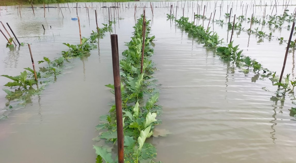 বন্যায় চট্টগ্রামে কৃষি ও মৎস্যখাতে শতকোটি টাকার ক্ষতির আশঙ্কা