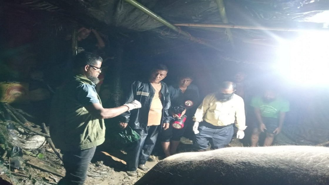 প্রধানমন্ত্রীর নির্দেশে আহত হাতির চিকিৎসা শুরু